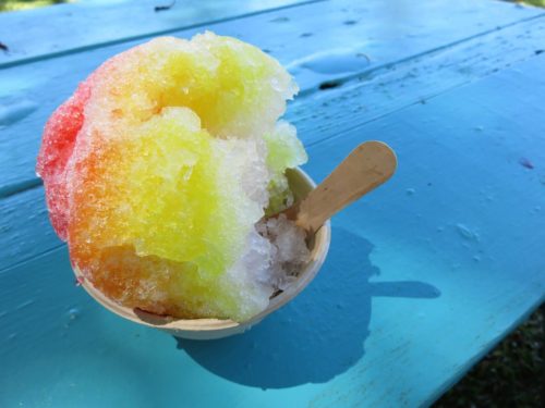 Sno Kone from Pink Elephant Party Rentals